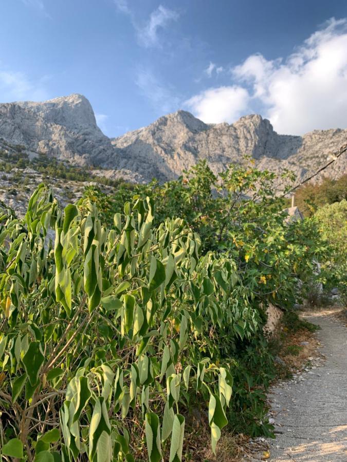 Villa Kristina - Ferienhaus Baska Voda - Topici, Private Outdoor Swimmingpool, Wifi المظهر الخارجي الصورة